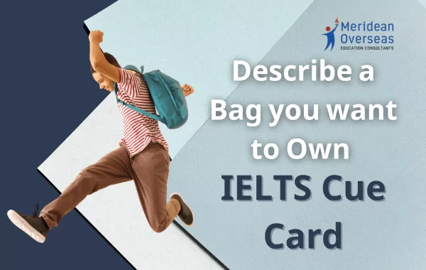 Describe a Bag you want to own